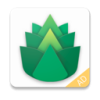 Verdant 